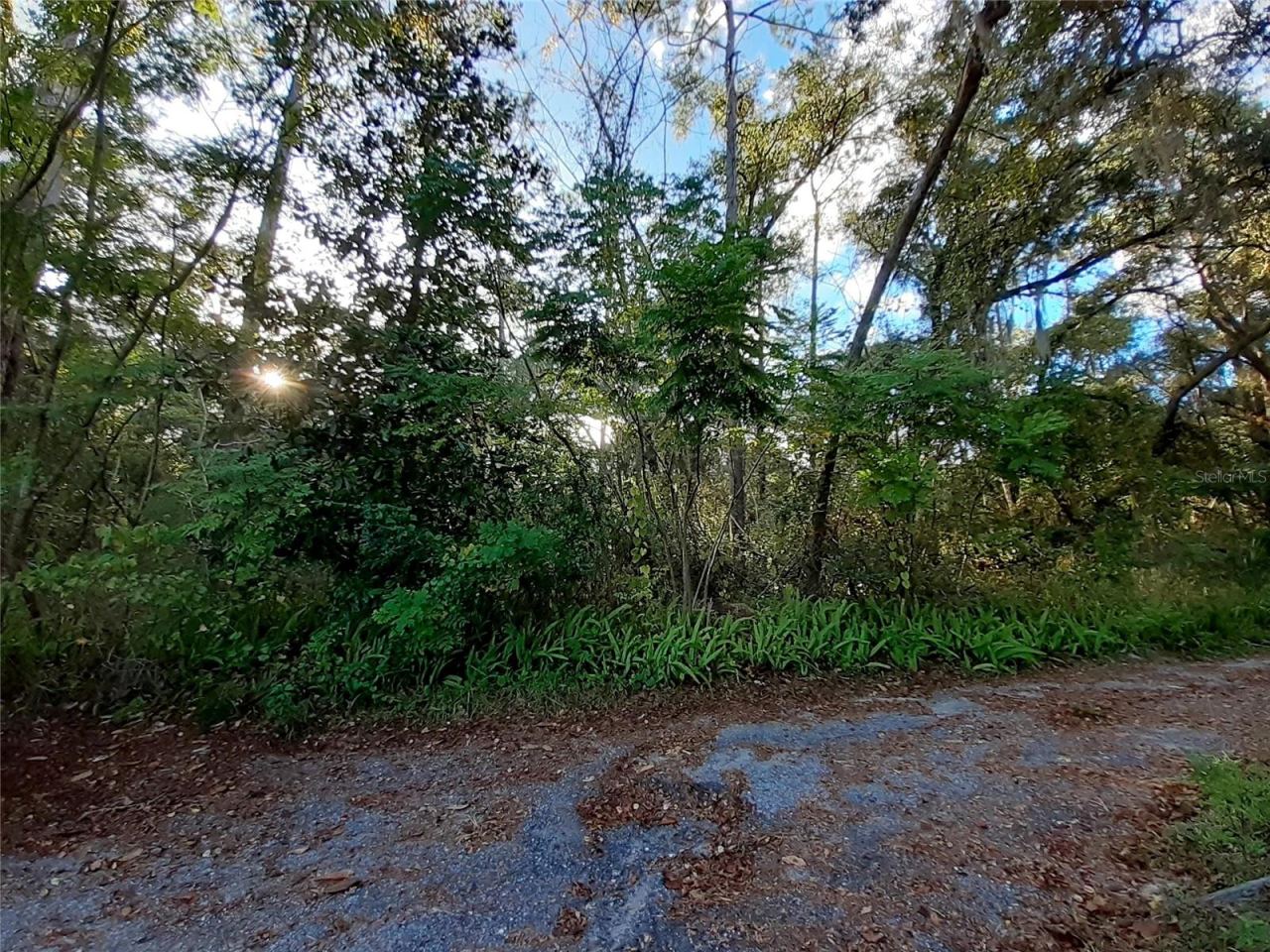 Photo 2 of 12: Beautiful lot just waiting for you!