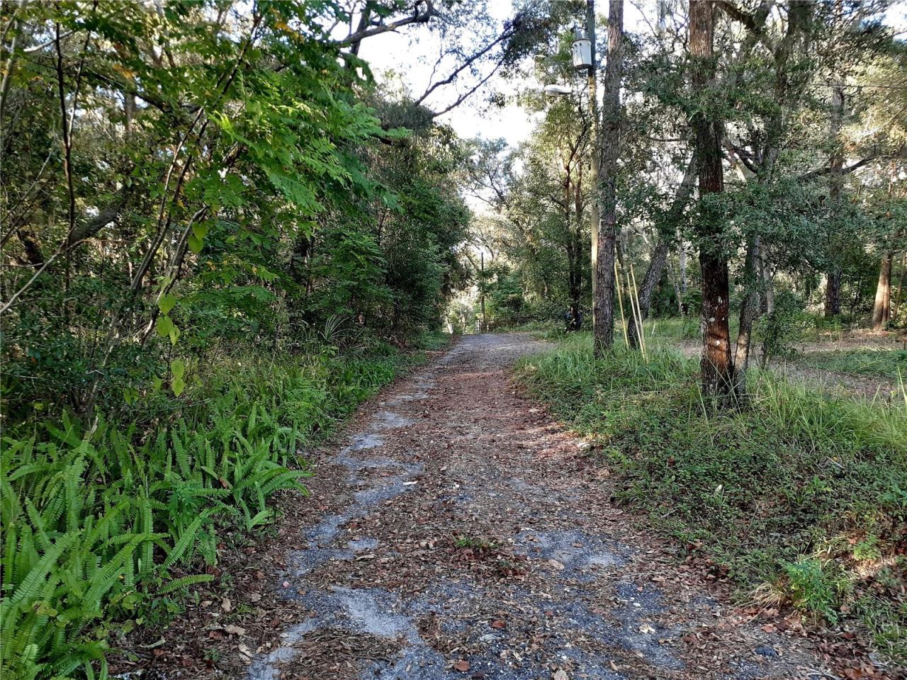 Photo 3 of 12: Blue Ridge Ave
