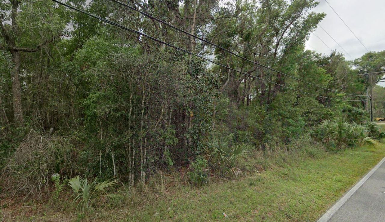 Photo 1 of 7: Right off Paved Reynolds Rd.