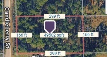 Photo 6 of 8