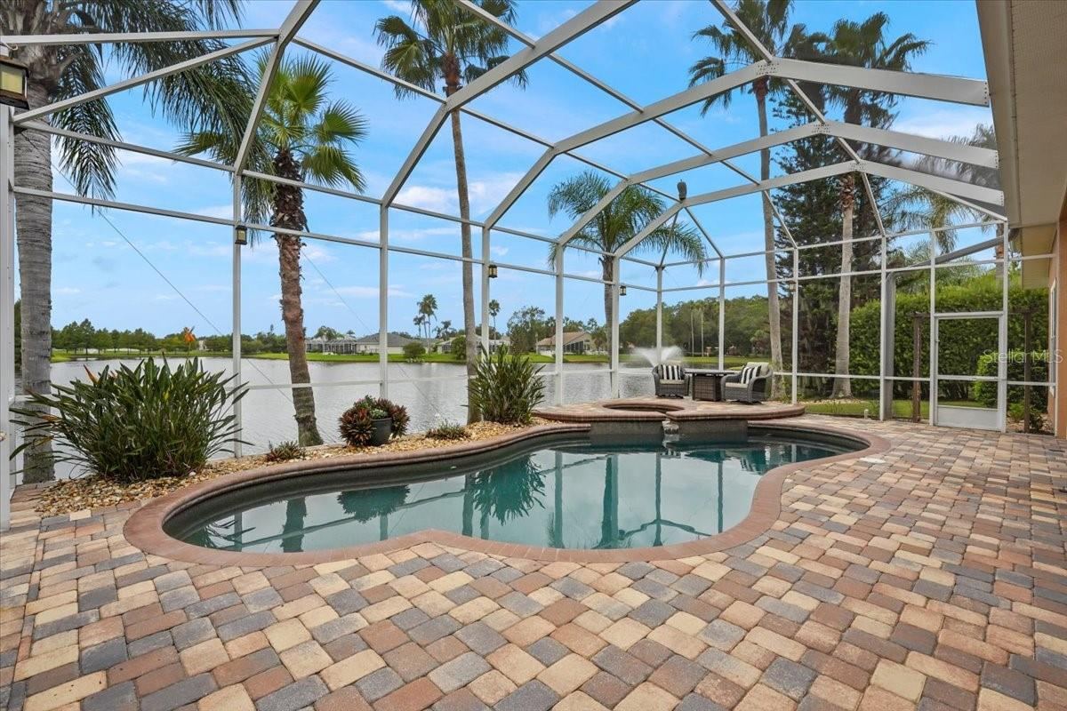 Photo 3 of 20: Saltwater Pool & Spa