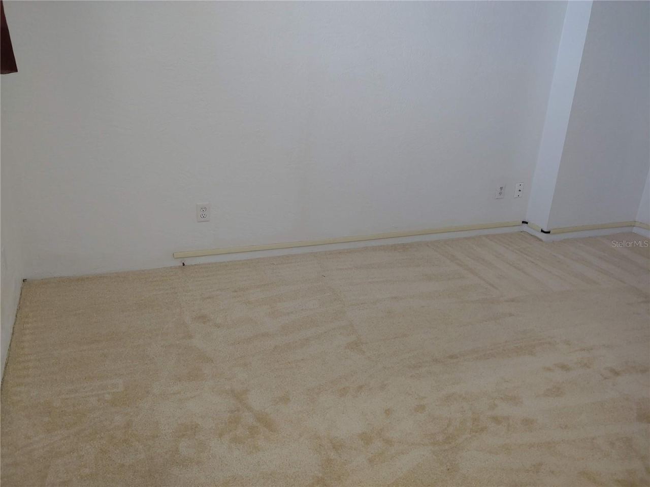 Photo 20 of 20