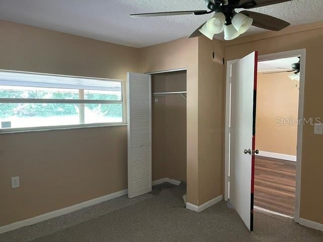 Photo 4 of 19