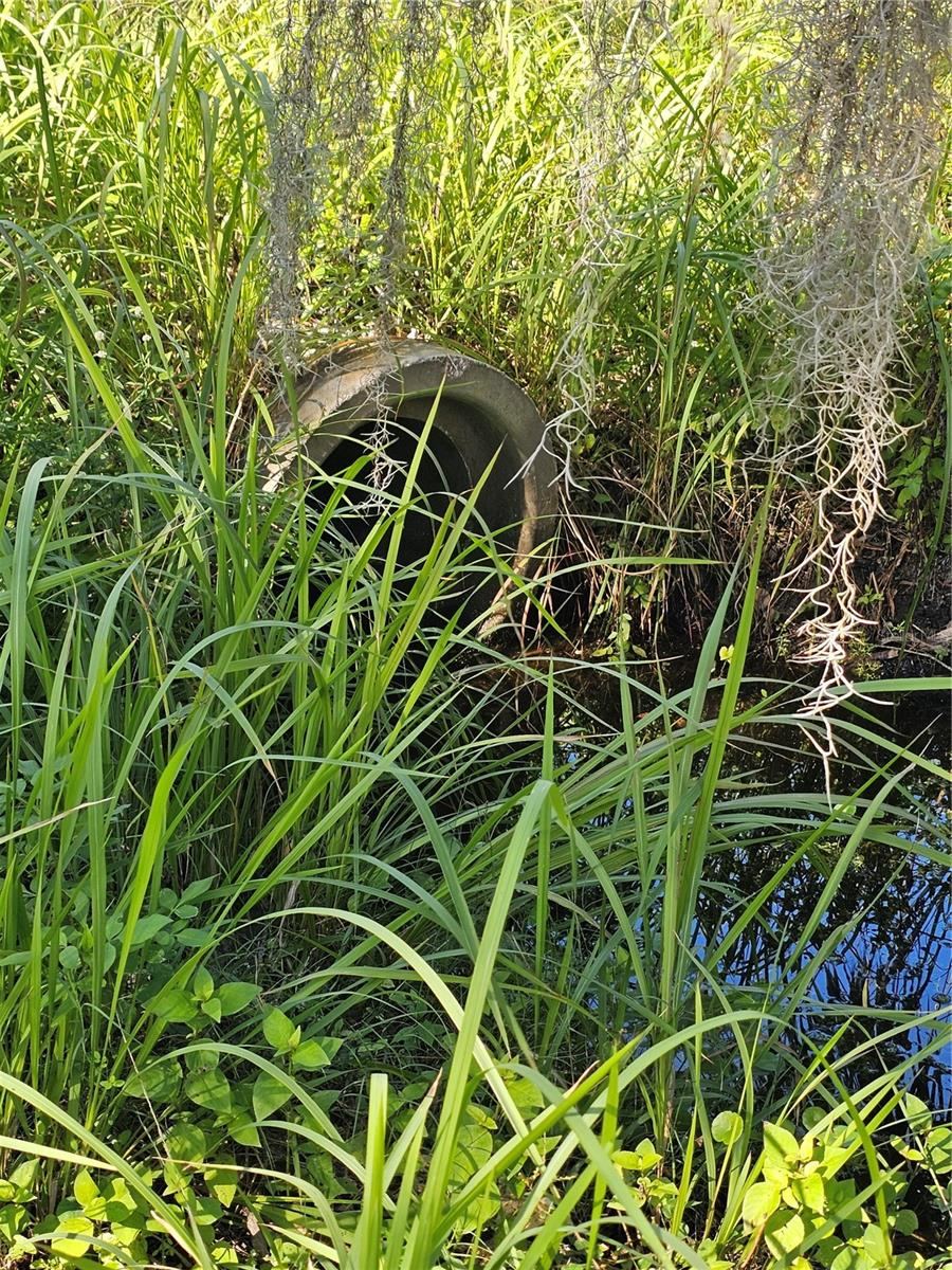 Photo 4 of 8: Driveway Culvert