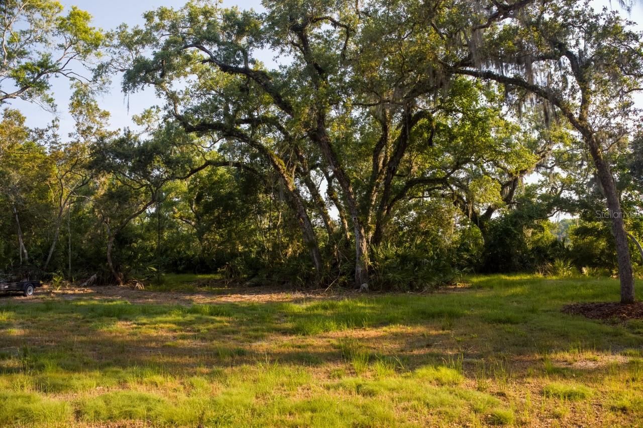 Photo 4 of 11