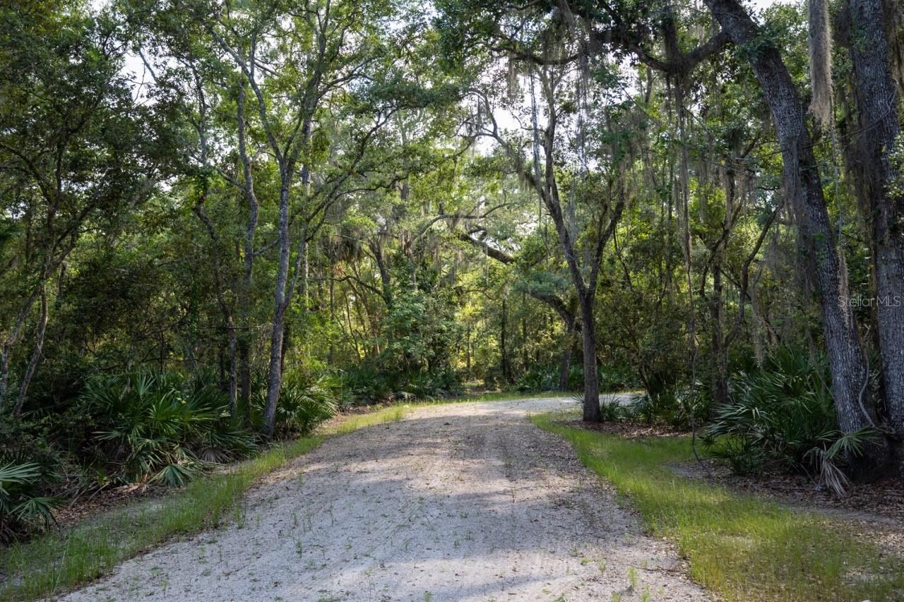 Photo 3 of 11: Driveway