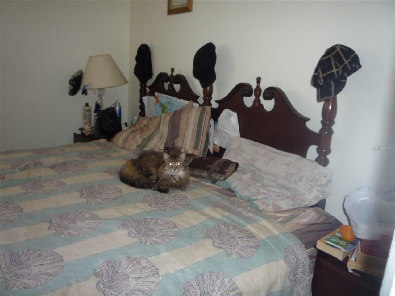 Photo 8 of 11: 2nd Bedroom