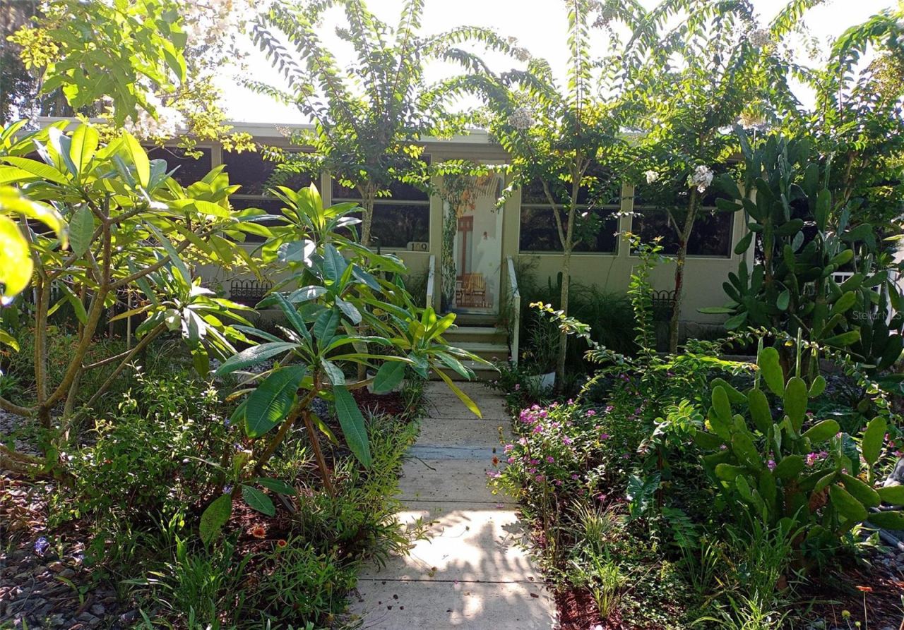 Photo 4 of 20