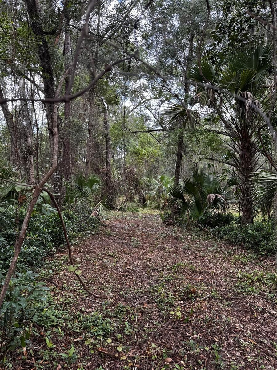 Photo 2 of 5: Nicely wooded