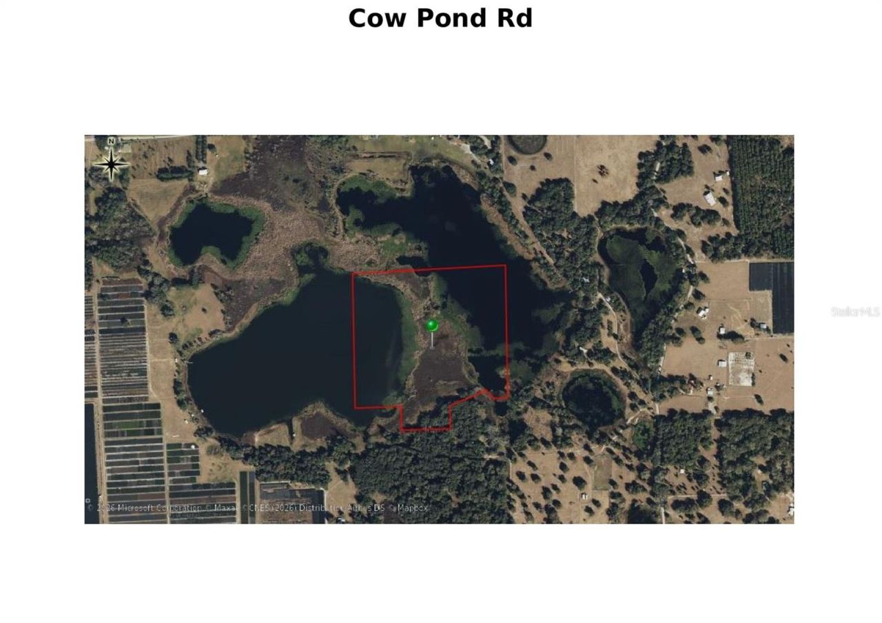 Photo 1 of 1: 34 acres in Cow Pond and the rest ready for your imagination in Seville, Florida.
