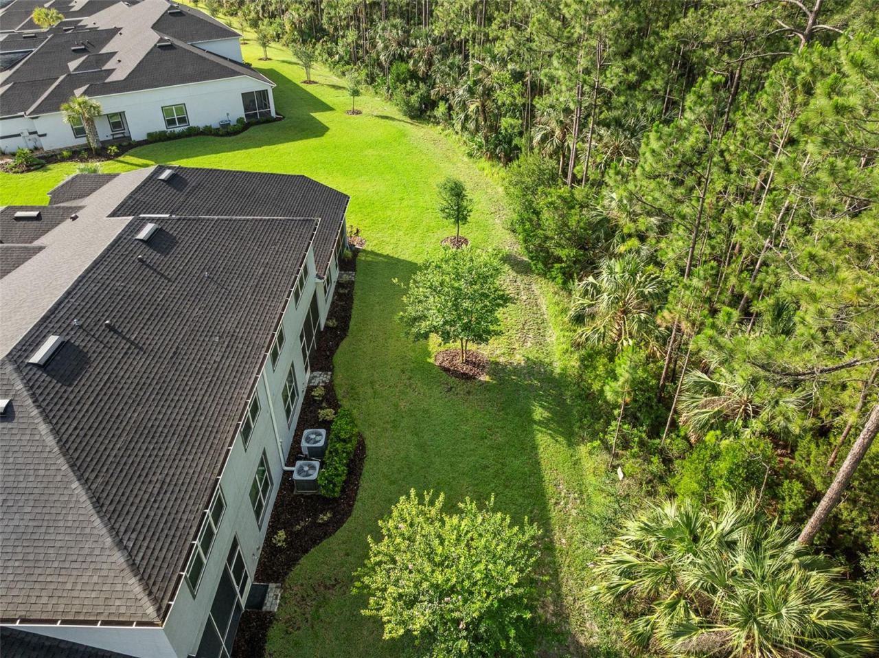 Photo 10 of 20: Aerial View of Backyard