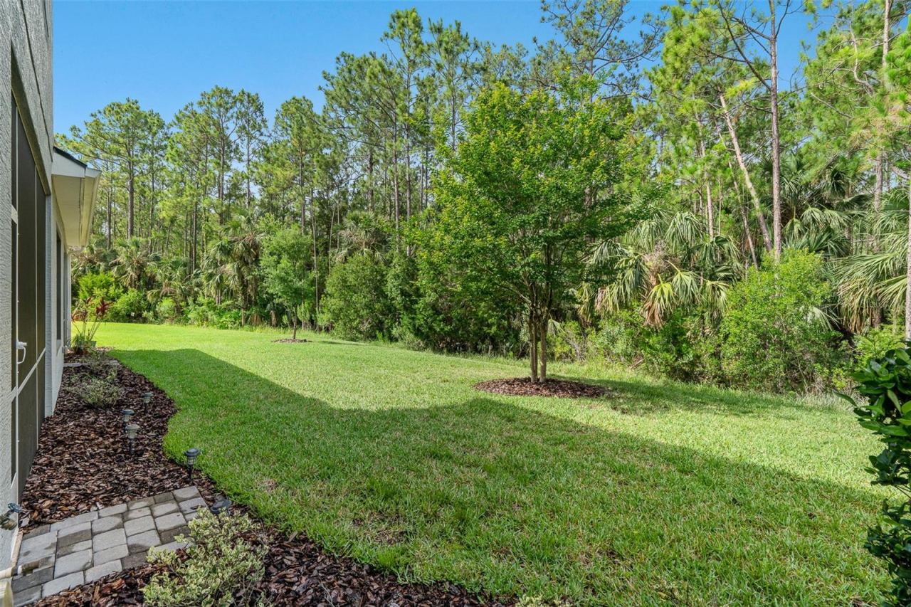 Photo 9 of 20: Backyard to Deep Preserve