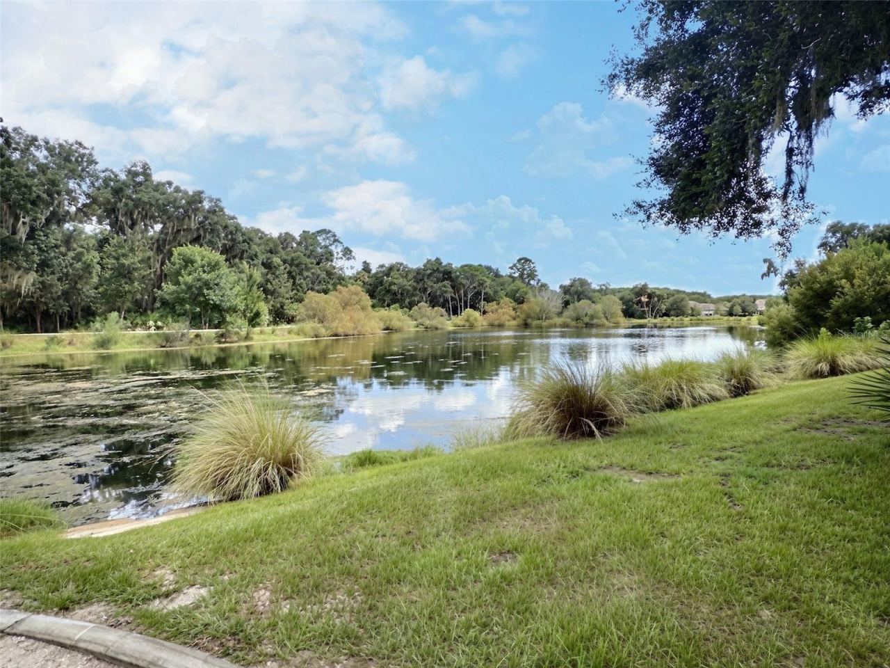 Photo 12 of 20: Lake @ Turkey Oak Lane
