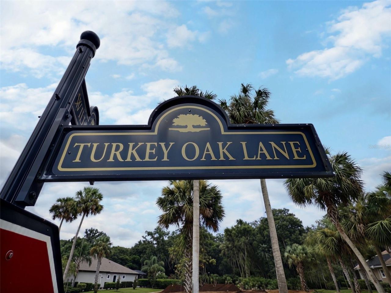 Photo 10 of 20: Turkey Oak Lane