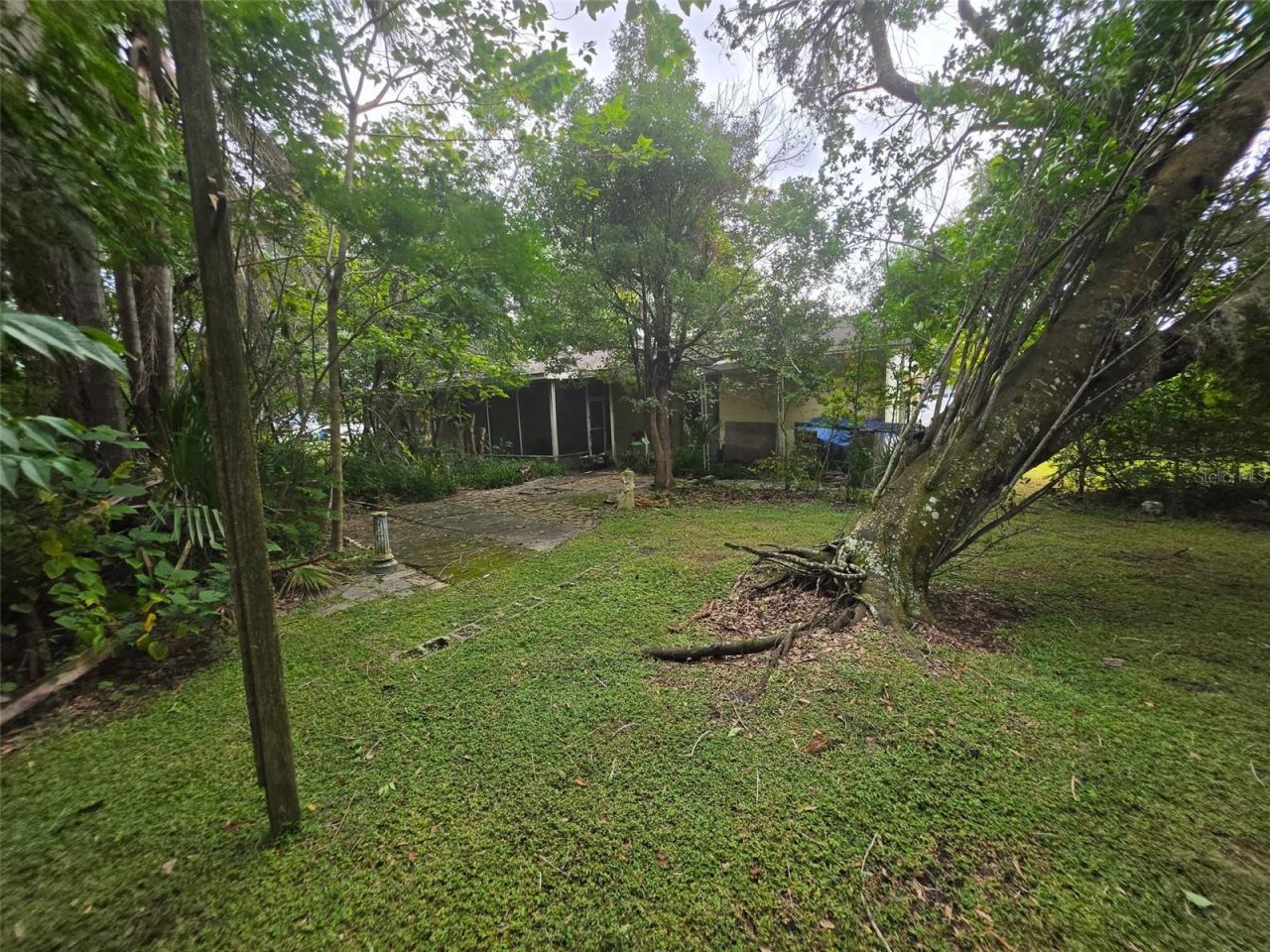 Photo 16 of 19