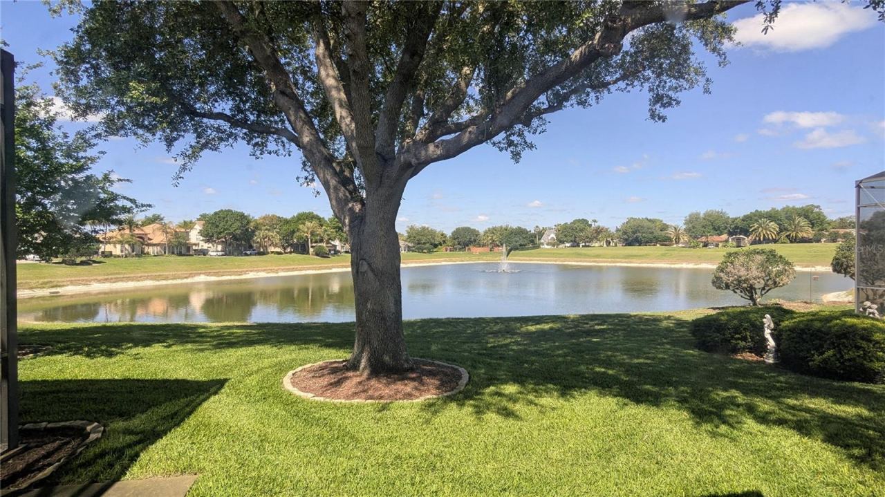 Photo 4 of 20: Water view backyard