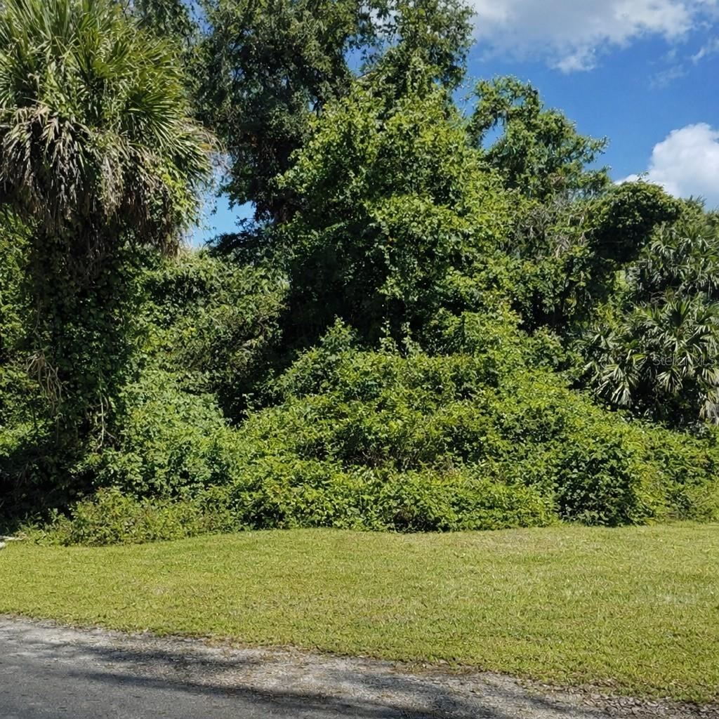 Photo 1 of 4: Front View of the Lot