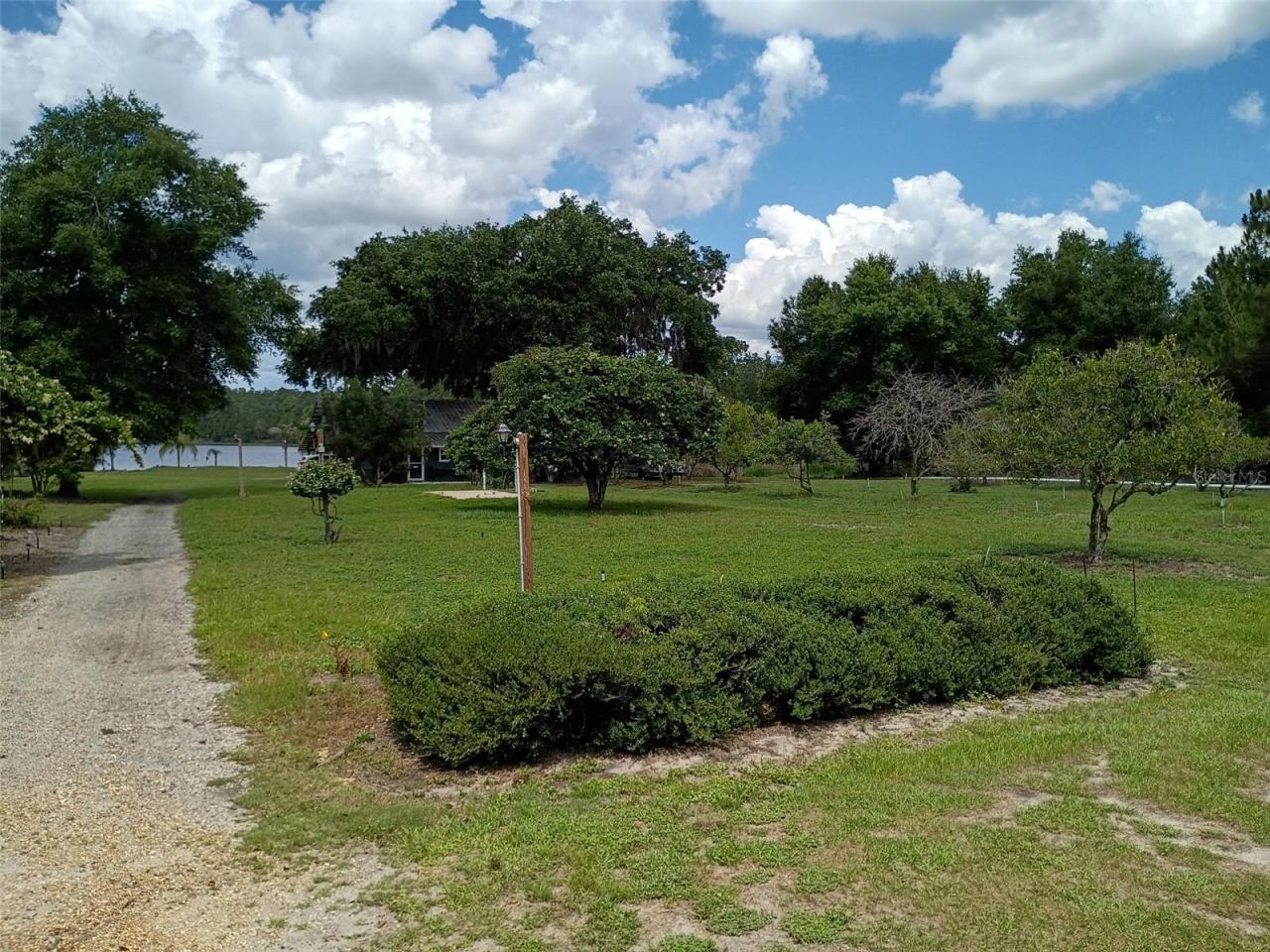 Photo 17 of 20: Yard view towards the lake