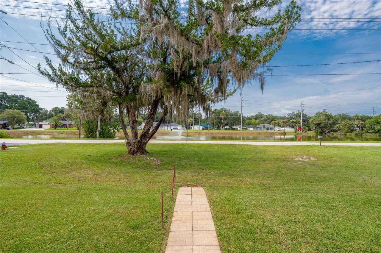 Photo 5 of 20: Scenic front lawn view featuring a paved entryway path leading toward a large shade tree and a neighborhood lake with a water fountain.
