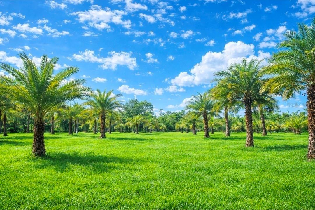 Photo 1 of 9: Build your dream home on a private road with other beautiful homes on 2.5 acre lots.
