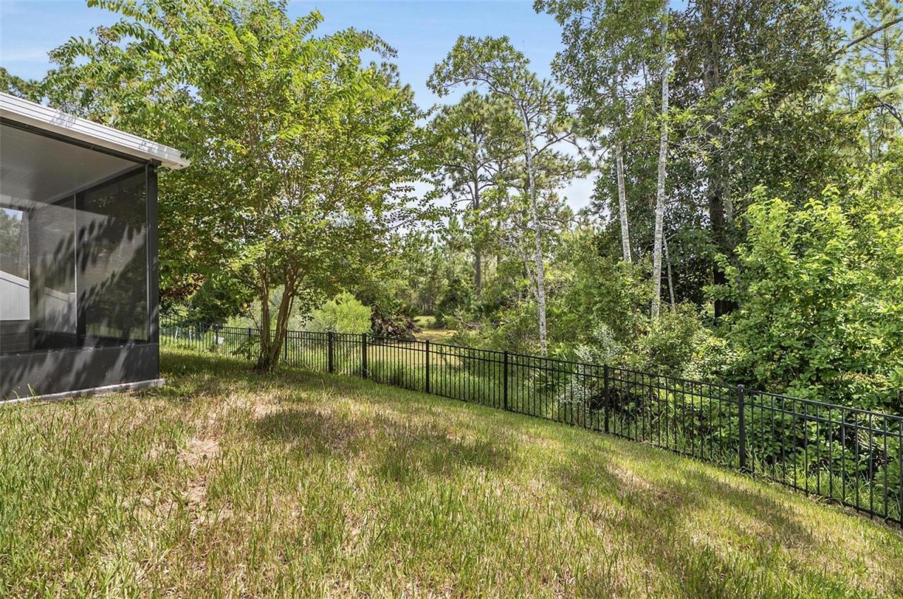 Photo 11 of 20: Rear View & Yard