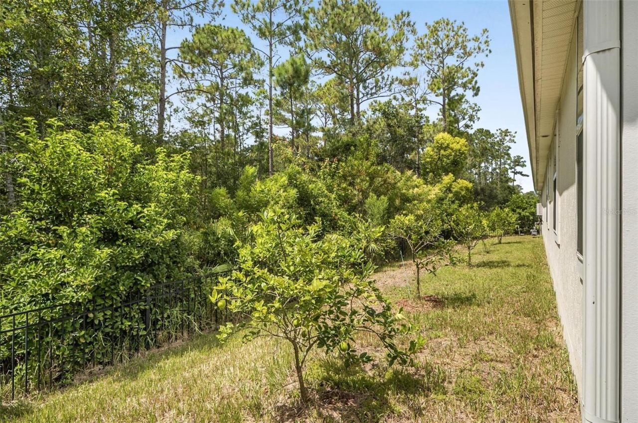 Photo 10 of 20: Rear View & Yard