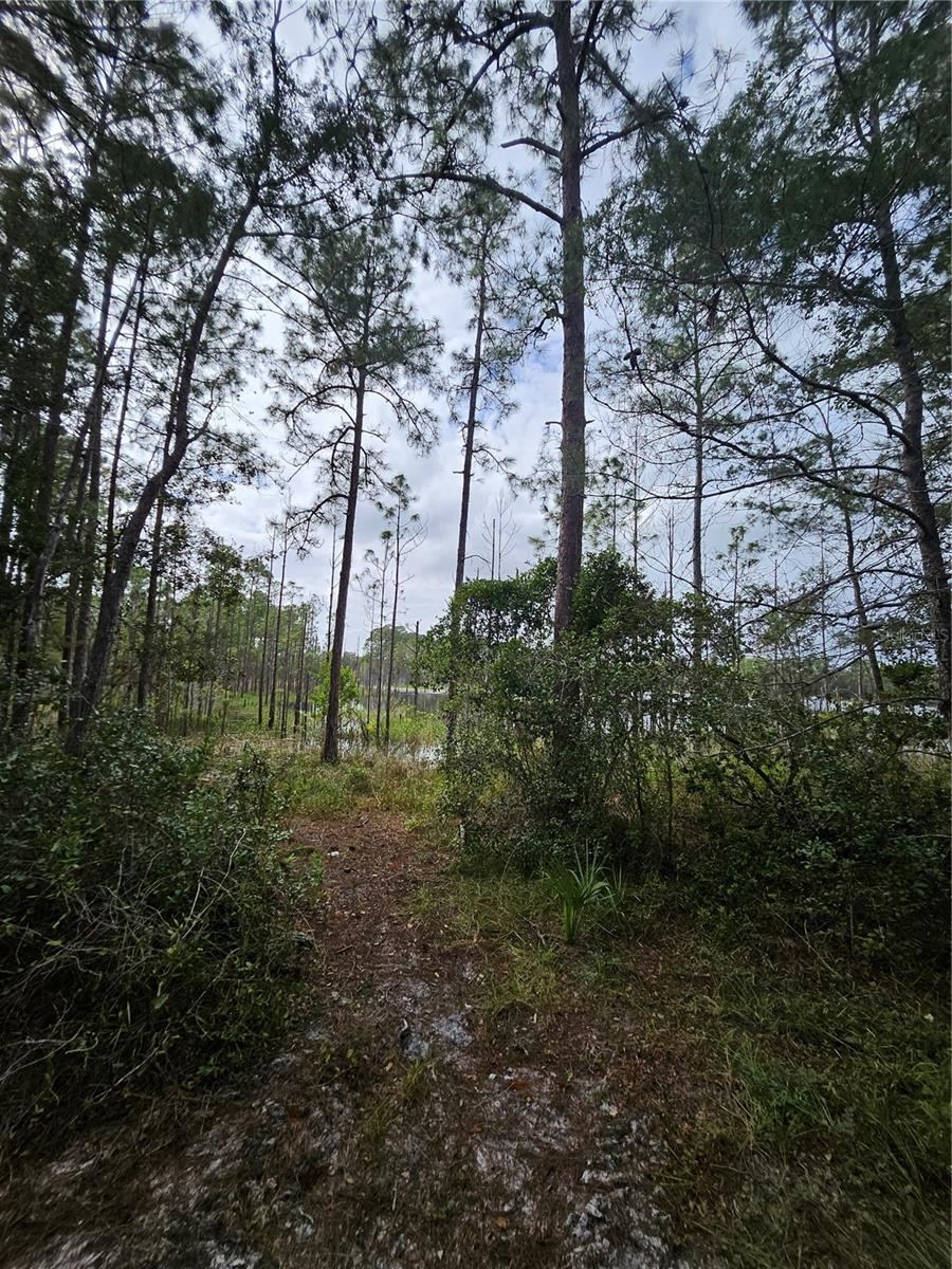 Photo 18 of 20