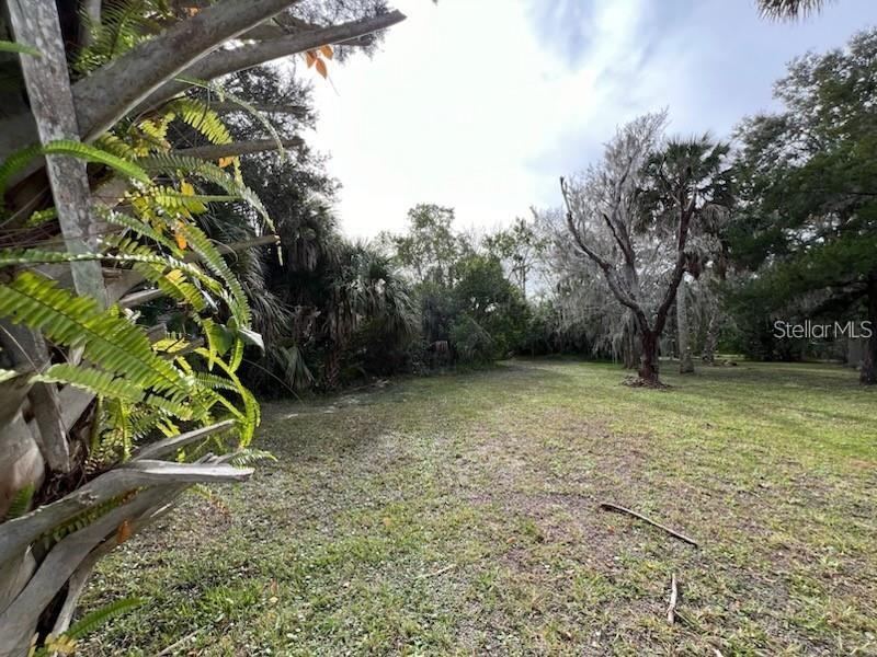 Photo 9 of 20