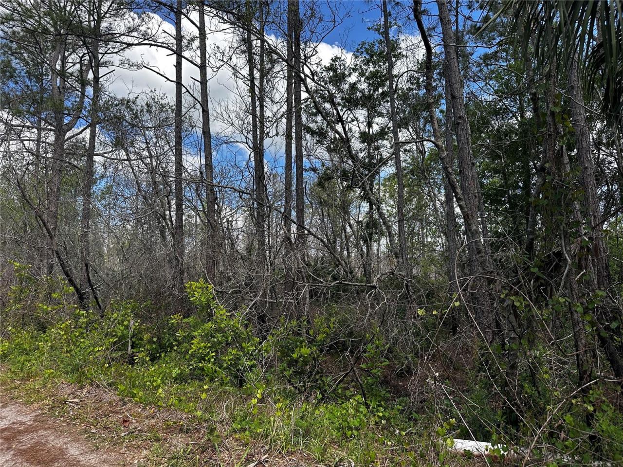 Photo 3 of 4