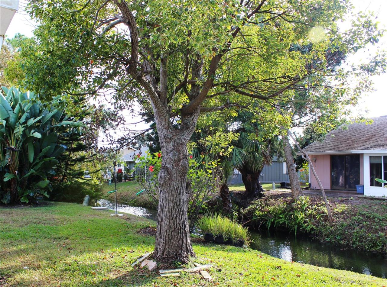Photo 16 of 17: Canal View