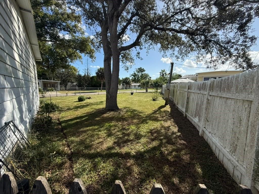 Photo 20 of 20