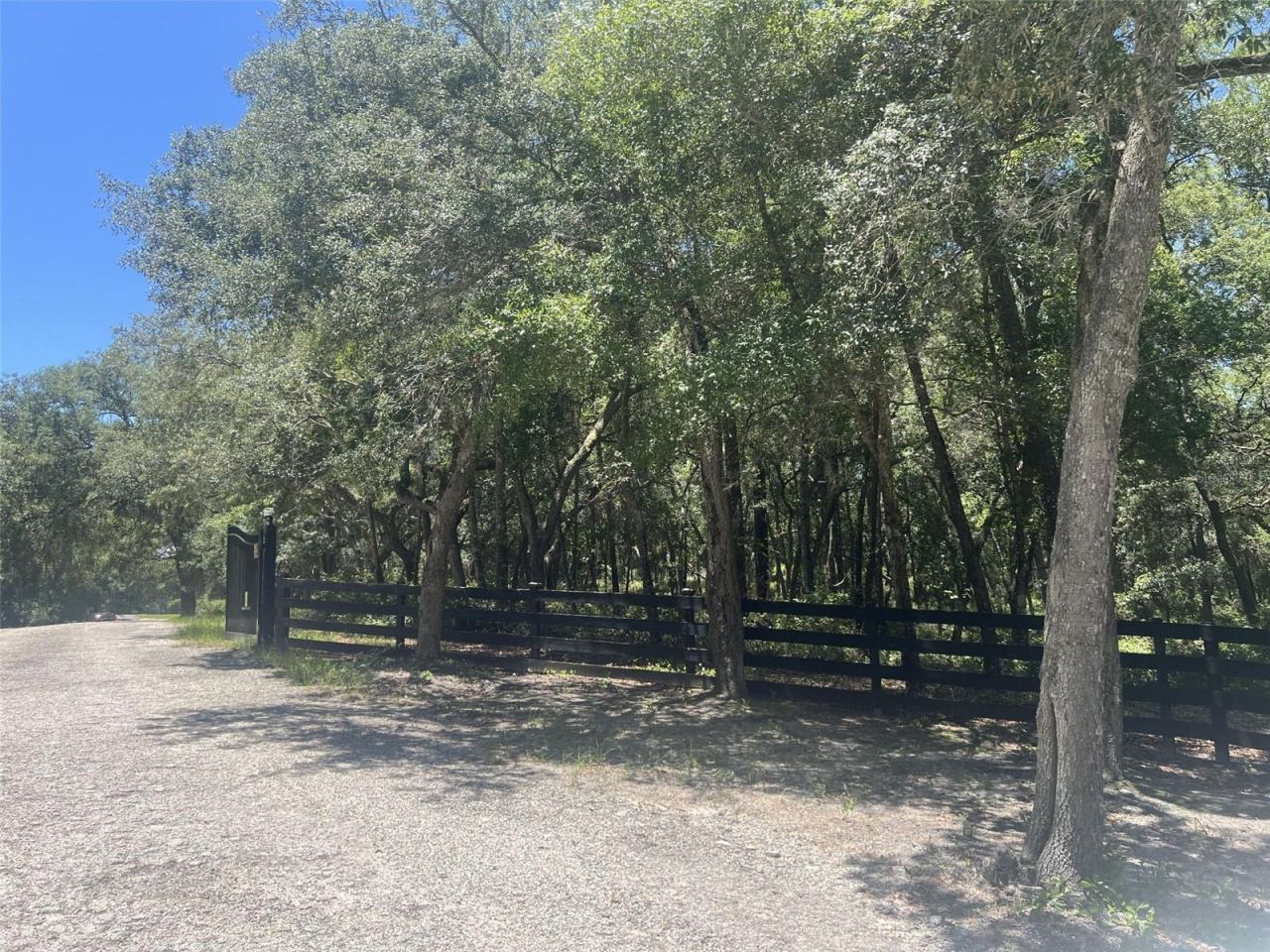 Photo 6 of 16