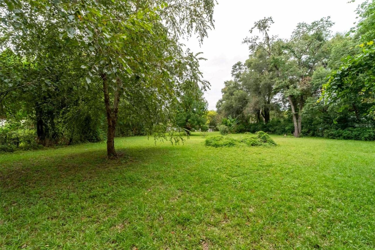 Photo 9 of 20