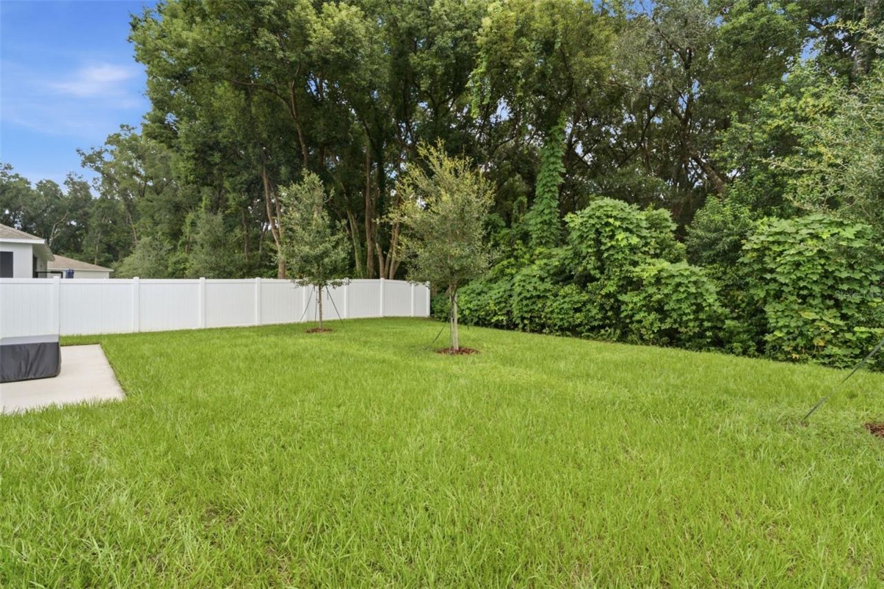 Photo 8 of 20