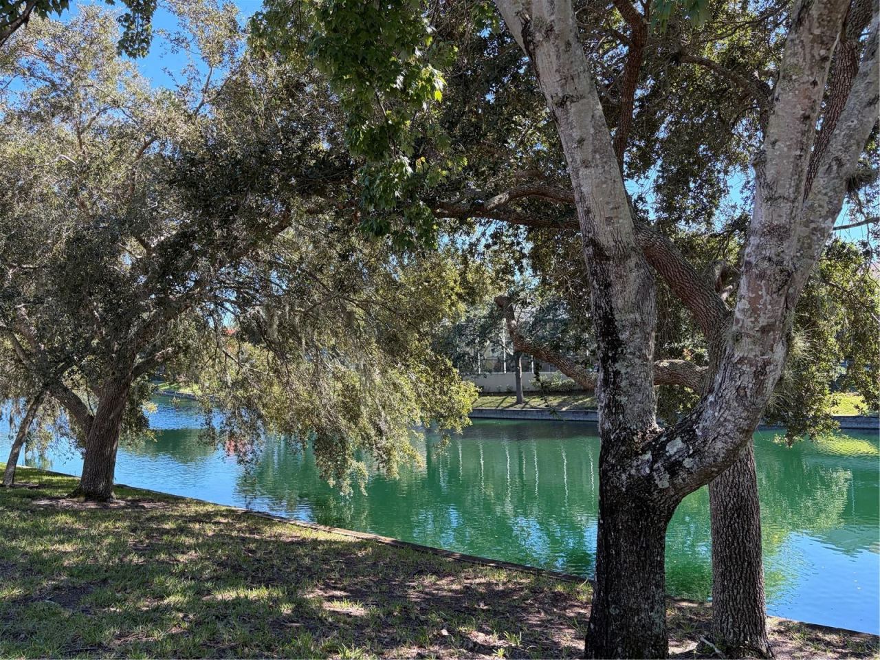 Photo 5 of 5: Waterview in backyard