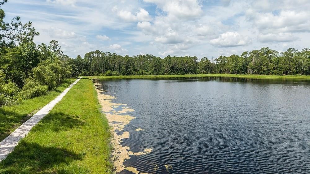 Photo 19 of 20: Ardisia Park Community Amenities