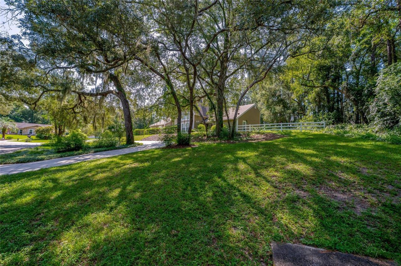 Photo 3 of 20: Expansive front lawn set beneath mature shade trees with a paved driveway and white fencing along the property line.