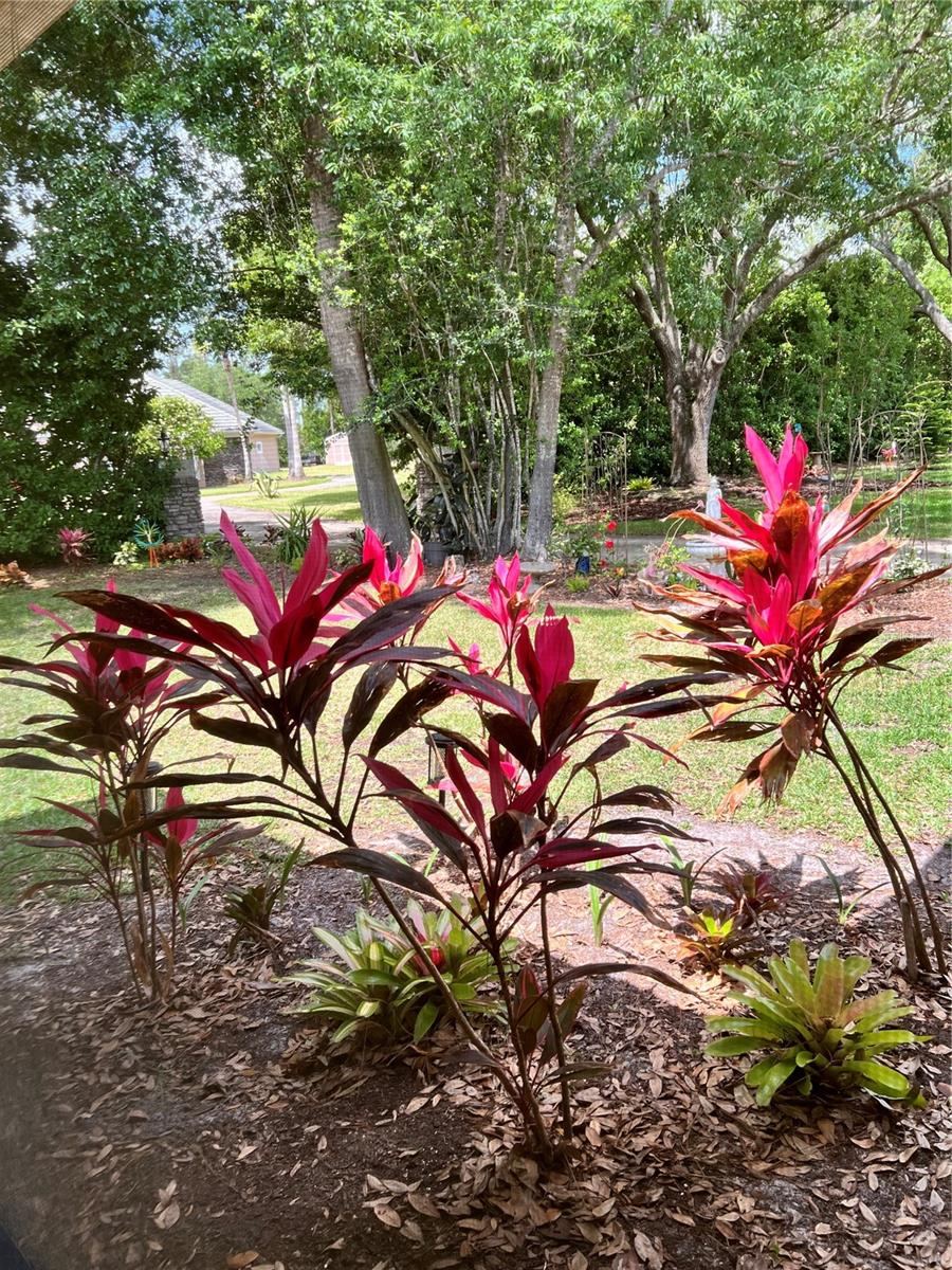Photo 18 of 20