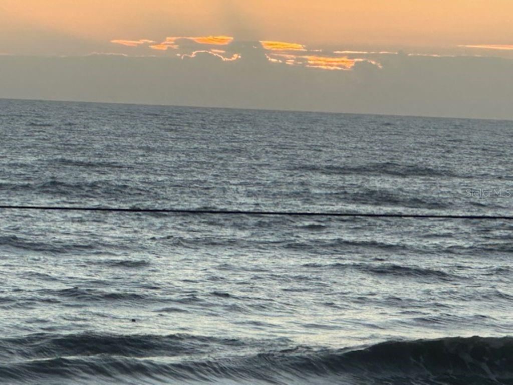 Photo 15 of 20