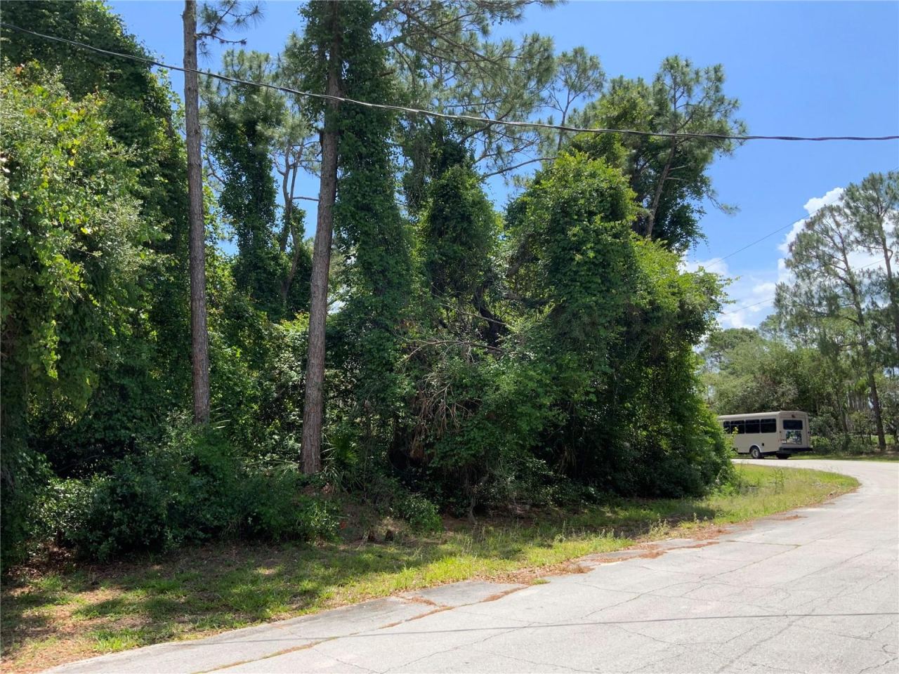 Photo 3 of 9: Property is to Right of Utility Pole - Survey Needed for Exact Boundaries