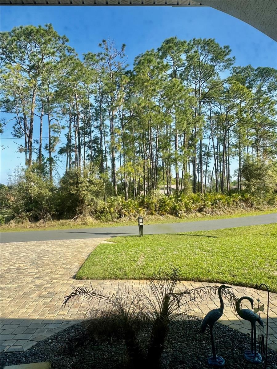 Photo 12 of 20