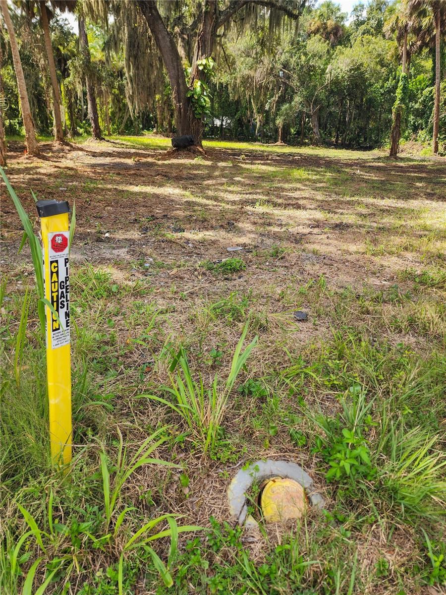 Photo 5 of 6: Natural Gas At the property