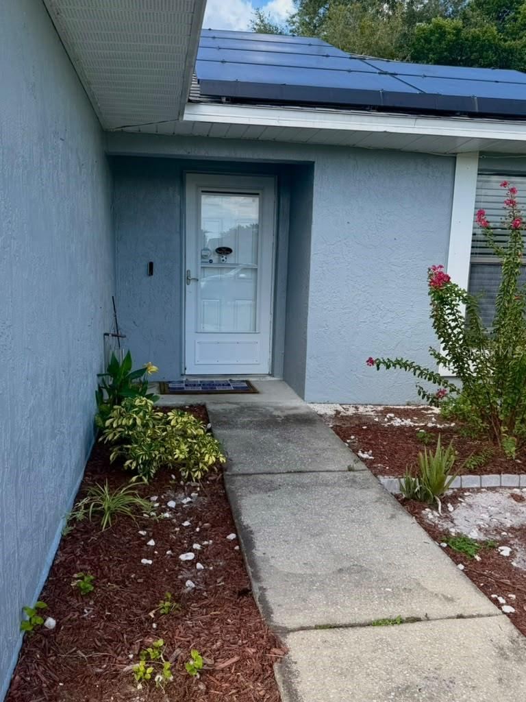 Photo 3 of 19