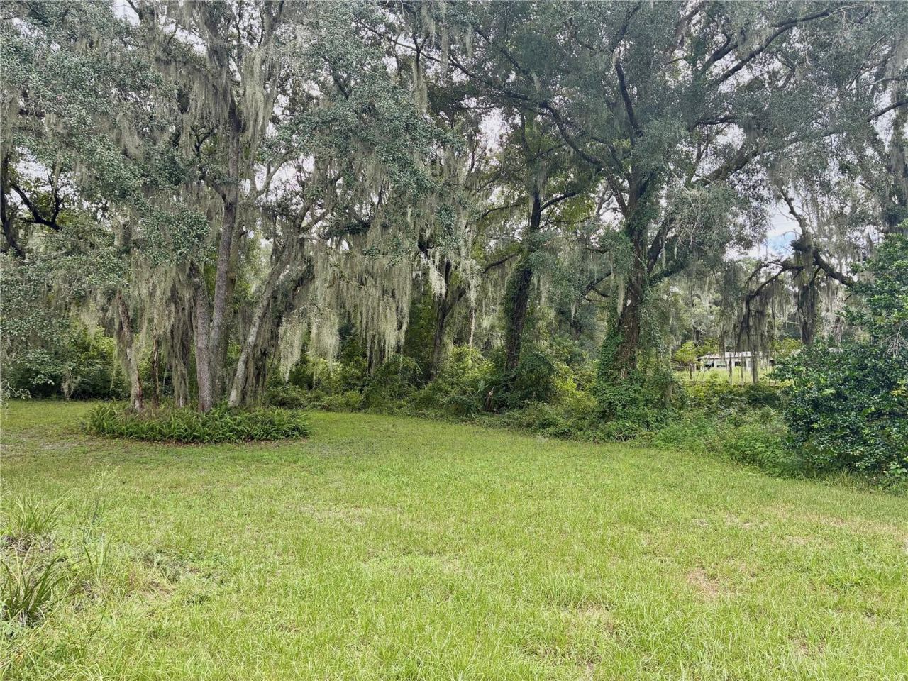 Photo 20 of 20