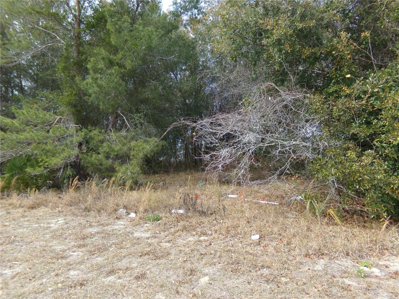 Photo 2 of 7
