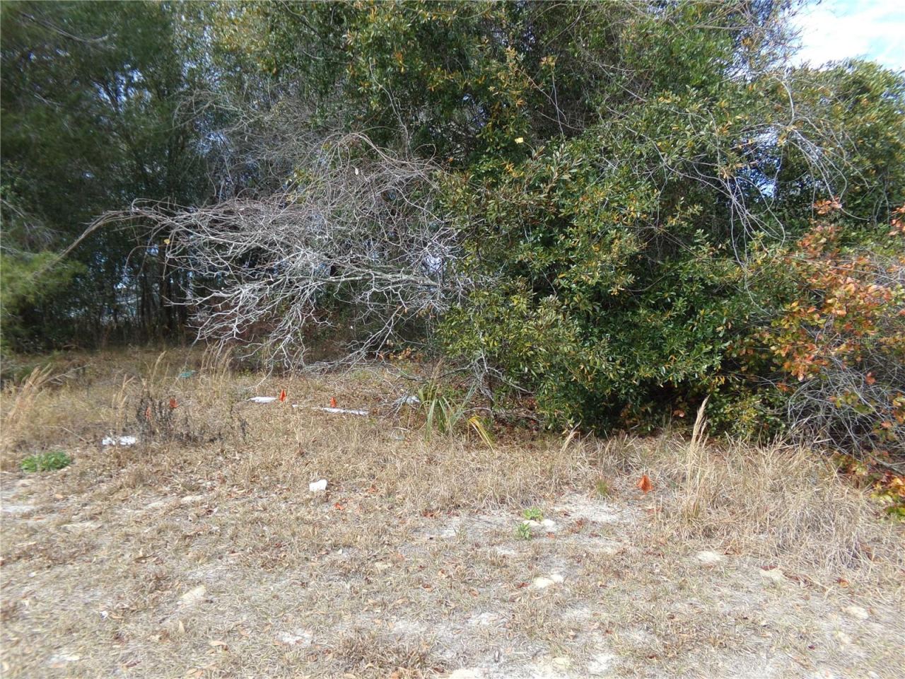 Photo 3 of 7