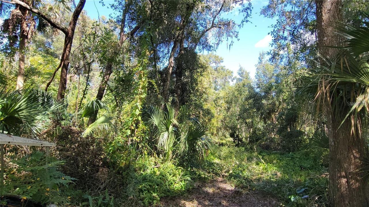 Photo 5 of 7