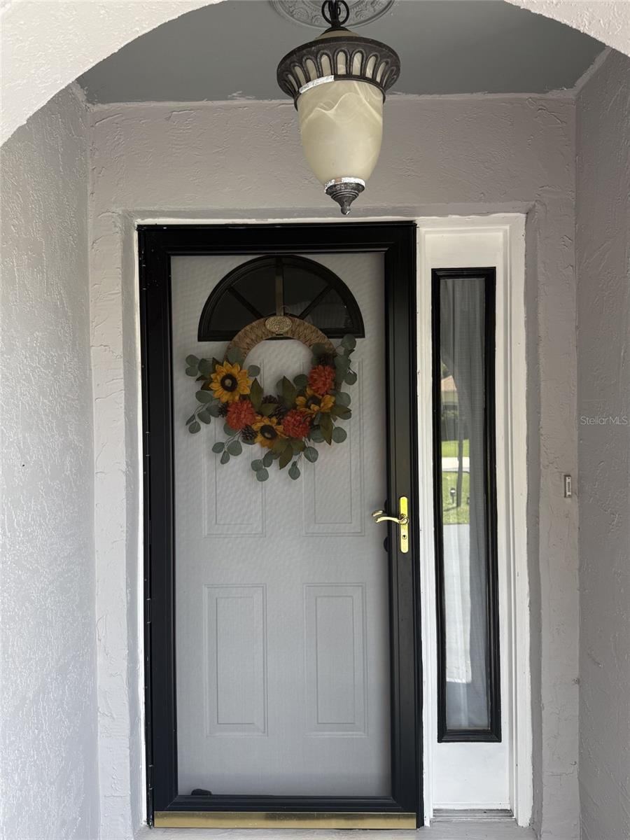 Photo 11 of 20: Covered Entry With Modern Light And Screened Door