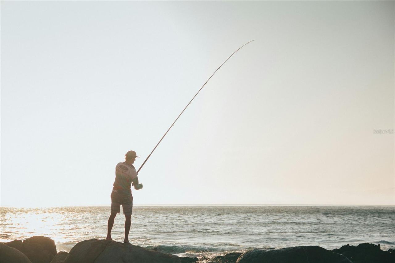 Photo 19 of 20: Jetty Fishing