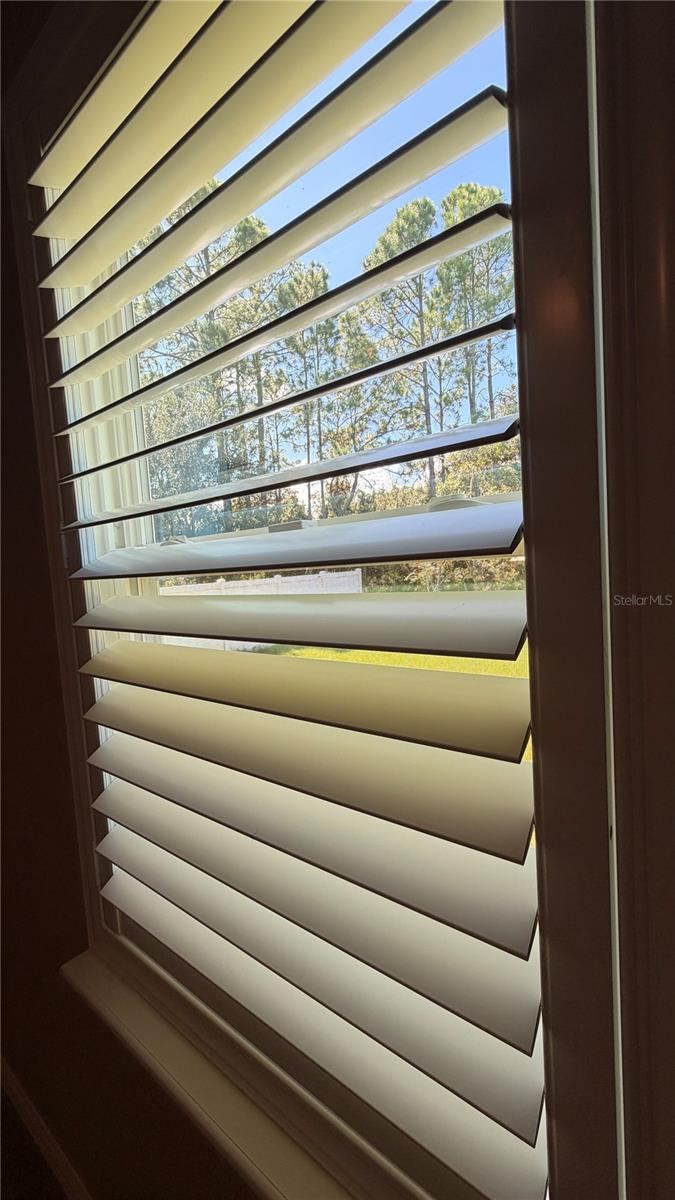 Photo 9 of 20: All Windows have been upgraded with Plantation shutters